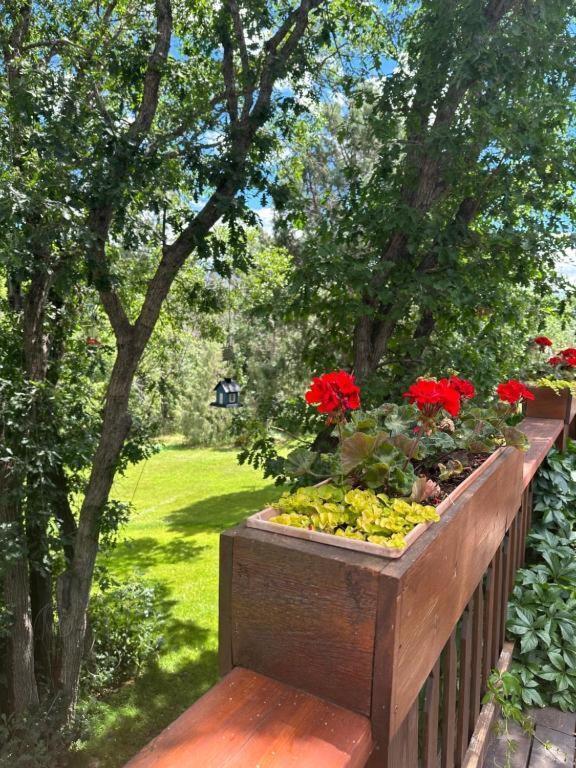 Country Sunshine Bed And Breakfast Hermosa Exterior foto