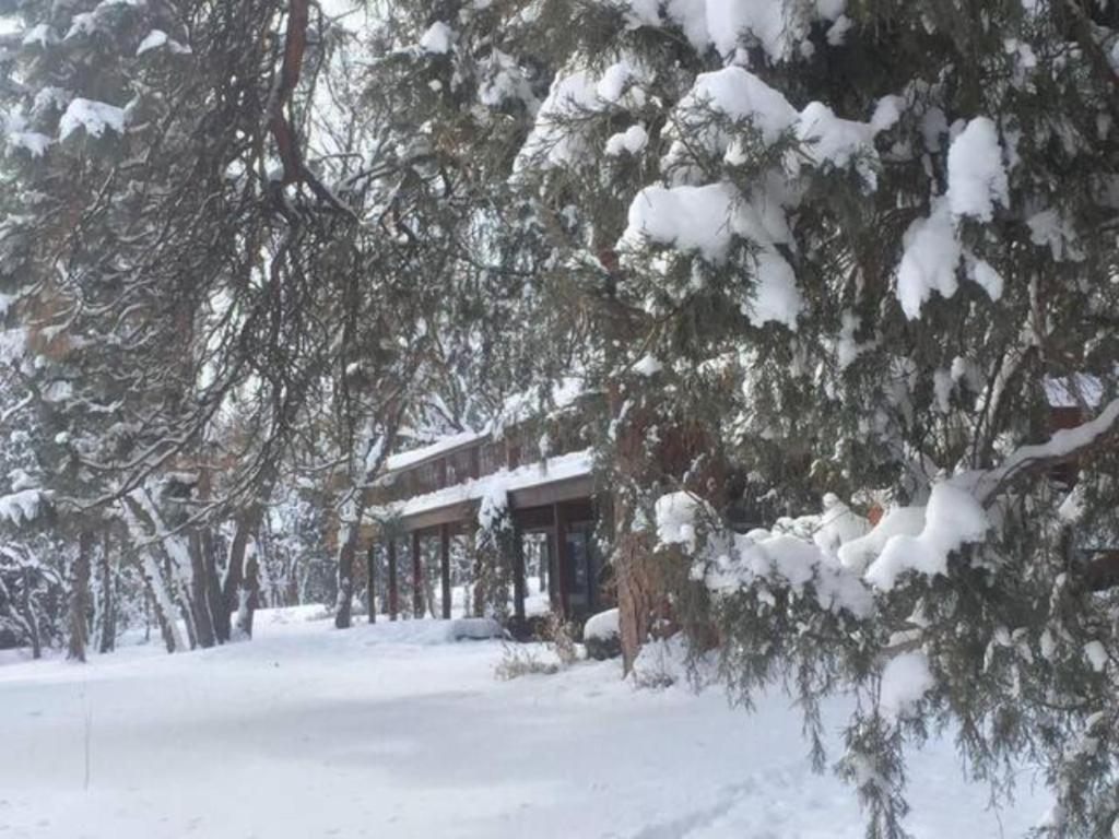 Country Sunshine Bed And Breakfast Hermosa Exterior foto